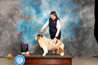 Australian Shepherd #9 Thur PG1 Judge Rick