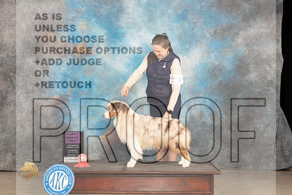 Australian Shepherd #9 Thur PG1 Judge Rick_JP_0454_MIDLAND2024_HR3