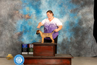 Border Terrier #10 Thur WBBOWBOSBPupM Judge Carolyn Herbel