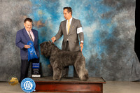 Bouvier #8 Thur G1 Judge Del Richards