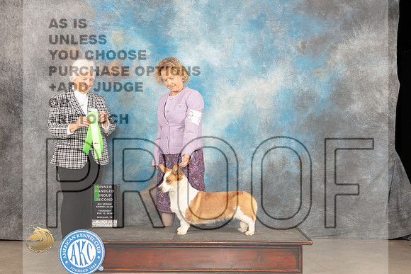Cardigan Welsh Corgi #8 Thur OHG2 Judge Gloria Kerr_JP_0395_MIDLAND2024_HR3