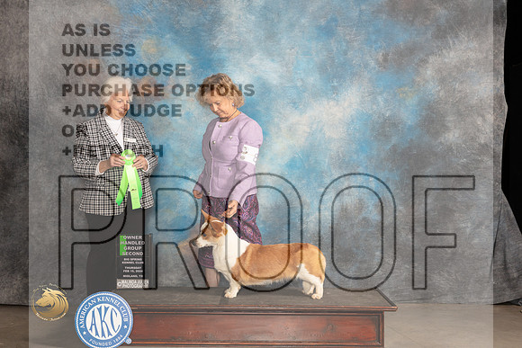 Cardigan Welsh Corgi #8 Thur OHG2 Judge Gloria Kerr_JP_0398_MIDLAND2024_HR3
