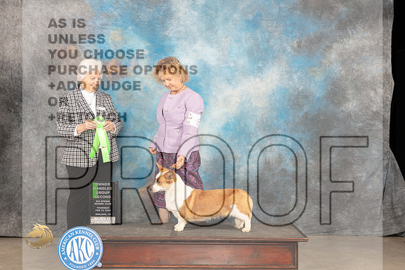 Cardigan Welsh Corgi #8 Thur OHG2 Judge Gloria Kerr_JP_0399_MIDLAND2024_HR3