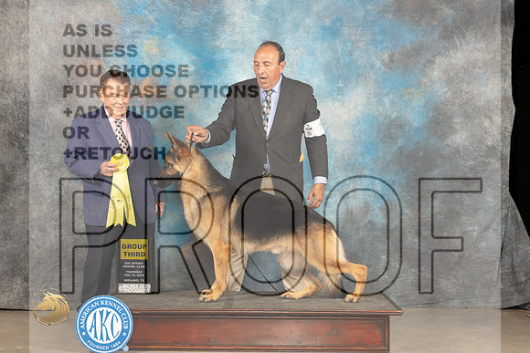 German Shepherd Dog #7 Thur G3 Judge Del Richards_JP_0339_MIDLAND2024_HR3