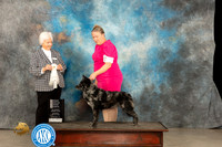 Mudi #5 Thur OHG4 Judge Gloria Kerr