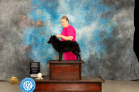 Mudi #9 Thur PG4 Judge Rick