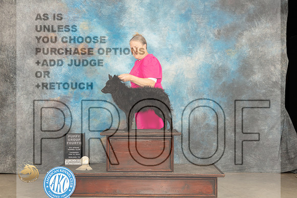 Mudi #9 Thur PG4 Judge Rick_JP_0446_MIDLAND2024_HR3