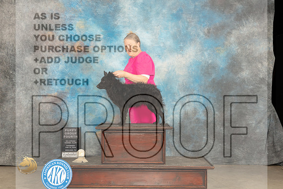Mudi #9 Thur PG4 Judge Rick_JP_0447_MIDLAND2024_HR3