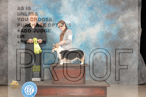Pembroke Welsh Corgi #12 Thur PG3 Judge Rick_JP_0450_MIDLAND2024_HR3