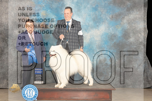 Samoyed #7 Thur G1 Judge Del Richards_JP_0359_MIDLAND2024_HR3