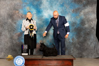 Scottish Terrier #6 Thur RBIS Judge Carolyn Herbel