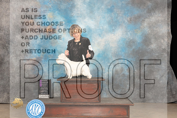 West Highland White Terrier #6 Thur OHG1 Judge Carolyn Herbel_JP_0434_MIDLAND2024_HR3