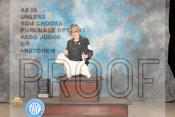 West Highland White Terrier #6 Thur OHG1 Judge Carolyn Herbel_JP_0435_MIDLAND2024_HR3