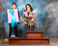 American Hairless Terrier #402 Ch  Judge Rosemarie OHara