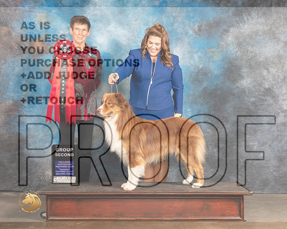 Australian Shepherd #103 Thurs G2  Judge Rosemarie OHara_MMJ_4655_BeltonTxClassic2021-HR3
