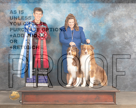 Australian Shepherd #103 Thurs G2  Judge Rosemarie OHara_MMJ_4659_BeltonTxClassic2021-HR3