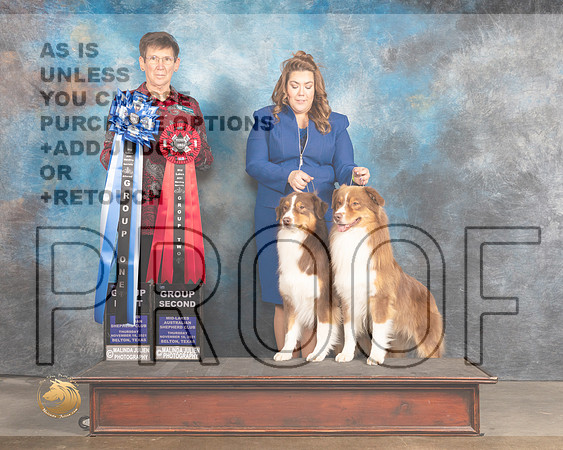 Australian Shepherd #103 Thurs G2  Judge Rosemarie OHara_MMJ_4663_BeltonTxClassic2021-HR3