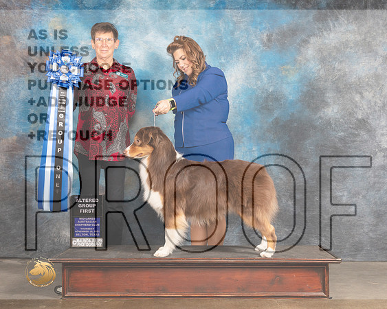 Australian Shepherd #301 Thurs AG1  Judge Rosemarie OHara_MMJ_4651_BeltonTxClassic2021-HR3