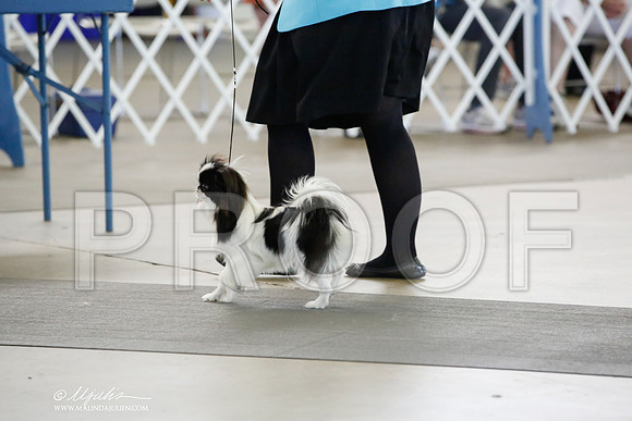 _CK_1008-DallasJul2014-HR3