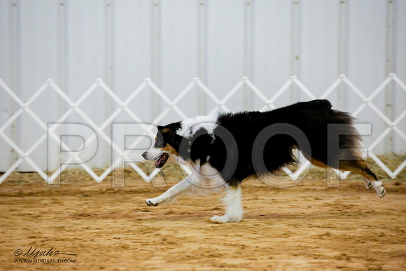 _JJ_8233-ASCACollegeStationNov2014-HR3