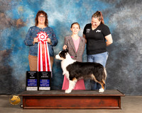 Australian Shepherd #121 Thurs RBISTD Judge Sarah Schroeder
