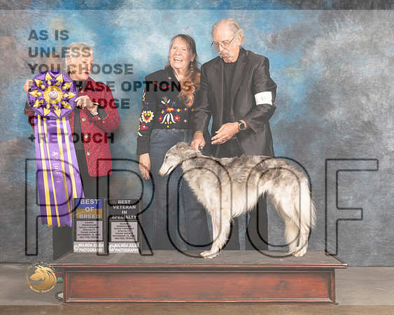 Silken Windhound #10 Thurs BOB Judge Lew Olsen_MMJ_4727_BeltonTxClassic2021-HR3