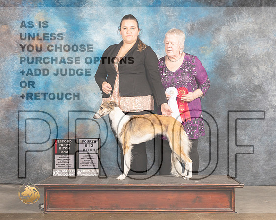 Silken Windhound #26 Thurs 9-12B2&4_MMJ_4701_BeltonTxClassic2021-HR3