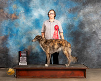 Silken Windhound #42 Thurs NovB2nd Judge Lew Olsen