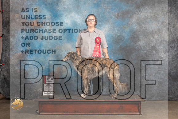 Silken Windhound #42 Thurs NovB2nd Judge Lew Olsen_MMJ_4778_BeltonTxClassic2021-HR3