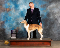 Silken Windhound #74 Thur WB Judge Robert Stein