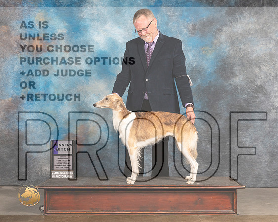 Silken Windhound #74 Thur WB Judge Robert Stein_MMJ_4707_BeltonTxClassic2021-HR3