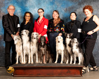 Silken Windhound Family