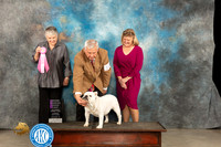Bulldog #12 Thur OHG Judge Sara Black