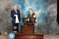 DAchshund Wire #6 Thur G4 Judge Tim Robbins