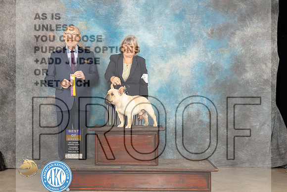 French Bulldog #7 Thur BOB Judge Tim Robbins_JP_0231_MIDLAND2024_HR3