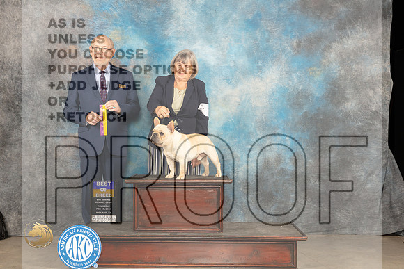 French Bulldog #7 Thur BOB Judge Tim Robbins_JP_0233_MIDLAND2024_HR3