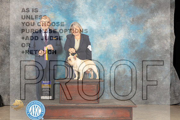 French Bulldog #7 Thur BOB Judge Tim Robbins_JP_0236_MIDLAND2024_HR3