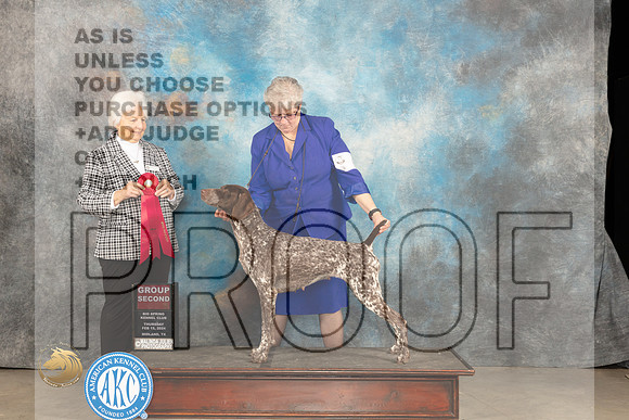 German Shorthaired Poinnter #6 Thur G2 Judge Gloria Kerr_JP_0152_MIDLAND2024_HR3