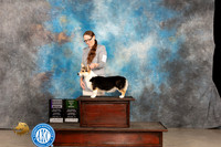 Pembroke Welsh Corgi #12 Thur RWBPBOB Judge Del Richards