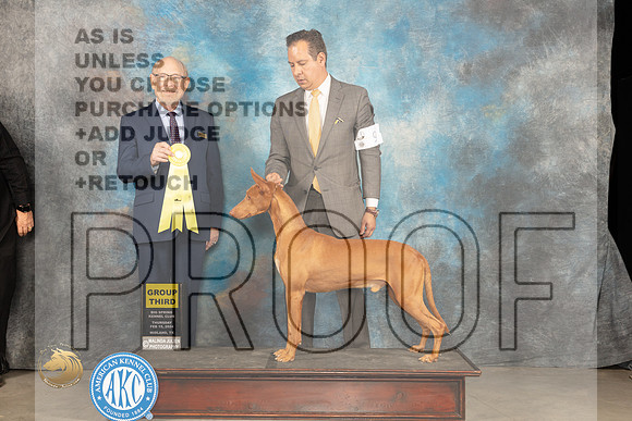 Pharoah Hound #5 Thur G3 Judge Tim Robbins_JP_0206_MIDLAND2024_HR3