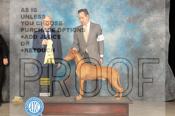 Pharoah Hound #5 Thur G3 Judge Tim Robbins_JP_0207_MIDLAND2024_HR3