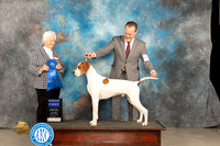Pointer #5 Thur G1 Judge Gloria Kerr