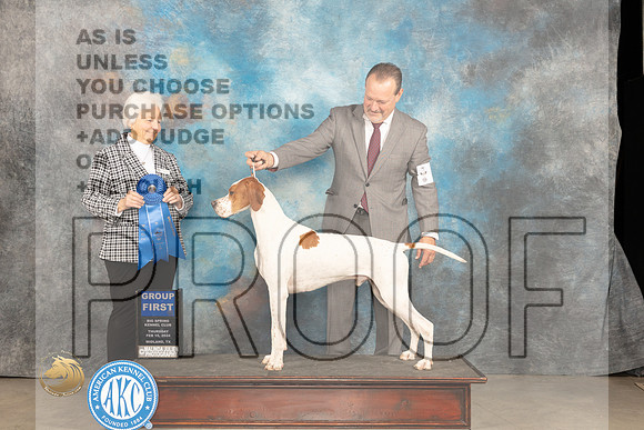 Pointer #5 Thur G1 Judge Gloria Kerr_JP_0142_MIDLAND2024_HR3