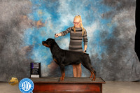 Rottweiler #11 Thur WDCH Judge Donelle Richards