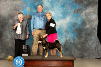 Shiba #5 Thur OHG4 Judge Sara Black