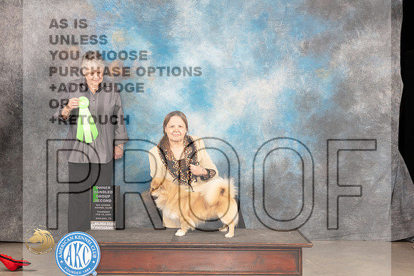 Tibetan Spaniel #11 Thur OHG2 Judge Sara Black_JP_0171_MIDLAND2024_HR3