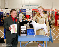 Junior Showmanship #J500 Sun Best Jr Carolyn Golleher Judge Del Richards