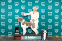 Poodle Std MC #1214 Fri UPA card