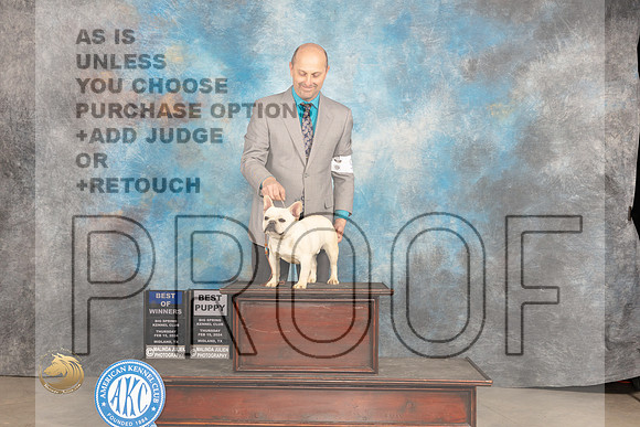French Bulldog #9 Thur WDBOWBP Judge Tim Robbins_JP_0489_MIDLAND2024_HR3