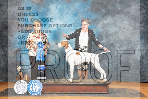 Pointer #? Sun G1 Judge Karen Hynek__JP_8853_MARSHALL_2024_HR3